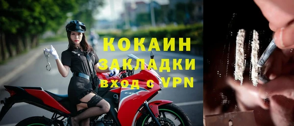 индика Медногорск