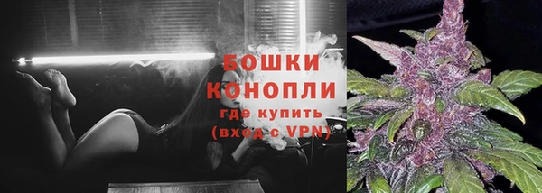 индика Медногорск