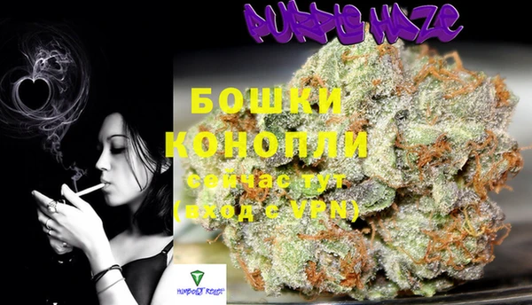 индика Медногорск