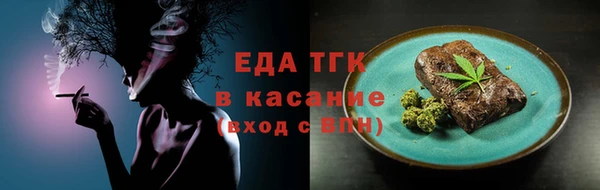 индика Медногорск
