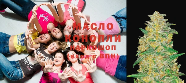 герыч Мегион