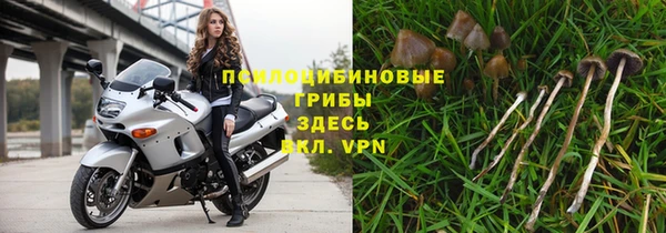 индика Медногорск