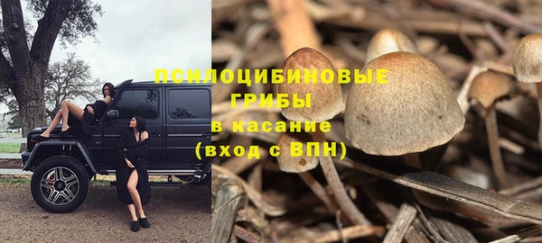 герыч Мегион