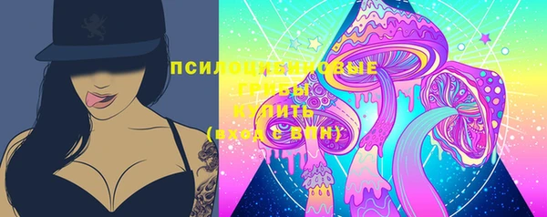 герыч Мегион
