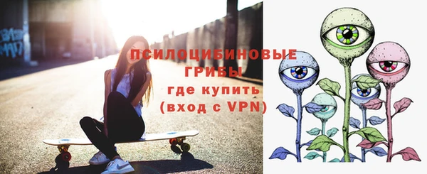 герыч Мегион