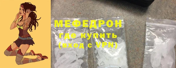 индика Медногорск
