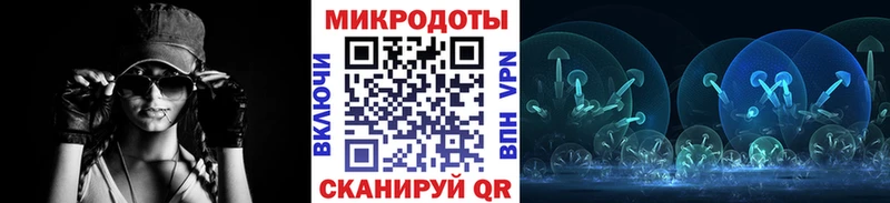Псилоцибиновые грибы Psilocybe  даркнет сайт  площадка формула  Динская 