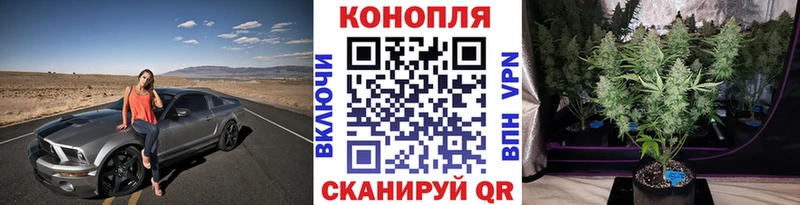 Марихуана OG Kush  Динская 